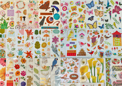 10 Sheets, nature outdoors floral flowers bloom insects camp animals wild life