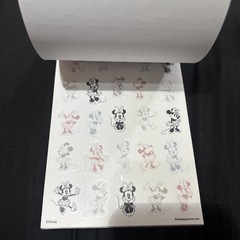 The Happy Planner Disney Mickey Mouse & Minnie Mouse Value Pack 655 pieces!