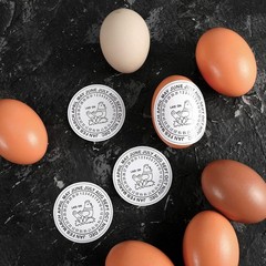 500 Pcs Eggs Laid on Date Stickers 2″ Farm Fresh Egg Round Stickers Egg Chick…