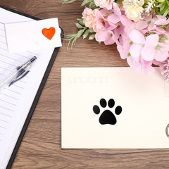 Adhesive Label Stickers Transparent Black 1000Pcs Paw Stickers 1.5″ Stickers