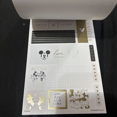 The Happy Planner Disney Mickey Mouse & Minnie Mouse Value Pack 655 pieces!