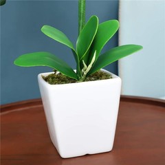 15″ Tall Artificial Silk Phalaenopsis Orchid Flower Plant Pot Arrangements (Y…