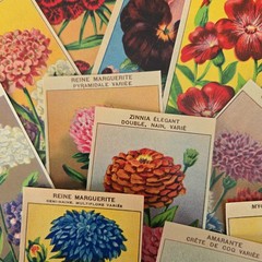 25 Random Antique French Flower Seed Labels