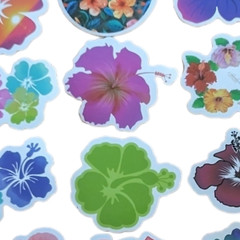 STICKER PACK – Pack #29 – 25 Pieces – Hibiscus Flowers