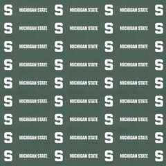 Michigan State Univ Spartans NCAA Scrapbook Kit Sticker Paper Tape U-CHOOSE