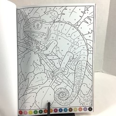 Collage Books Create Your Own Collage Cut & Paste Junk Journal Create By Numbers
