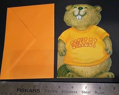Vintage Hallmark Shirt Tales Card Envelope Set BLANK VTG Woodland Critters 80s