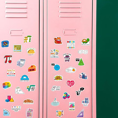 200 Math Stickers for Kids Teens Students – Vinyl Stickers for Crafts