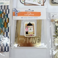 Glitz Scrapbook Stickers Embellishments Amy Tangerine Carta Bella LOT of 23 D