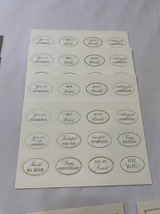 Anna Griffin Mini Sentiment Stickers 288 Sentiments Love Birthday Affirmation
