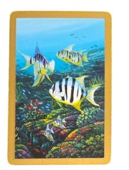 Vintage Tropical Fish Colorful US Playing Cards Junk Journal Scrapbook Collage