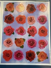 Vintage Stickers Flowers & Cats 17 Packets Multiple Sheets Per Pack New