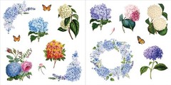 Bunches of Botanicals Sticker Book (Over 500 stickers!) – NEW