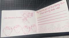 Welcome To Strawberryland Sticker Activity Book Strawberry Shortcake