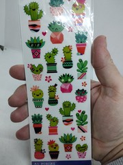 Cactus Stickers | Succulent Plant Stickers – 31 Asst Pcs (nm5238608)