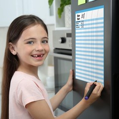 17 x 22 Inch Large Magnetic Dry Erase Incentive Chart Homework Progress Track…