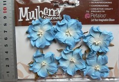 WILD ROSE – 6 Paper Flowers BLUE – 3-4cm across Penny Lane Petaloo I