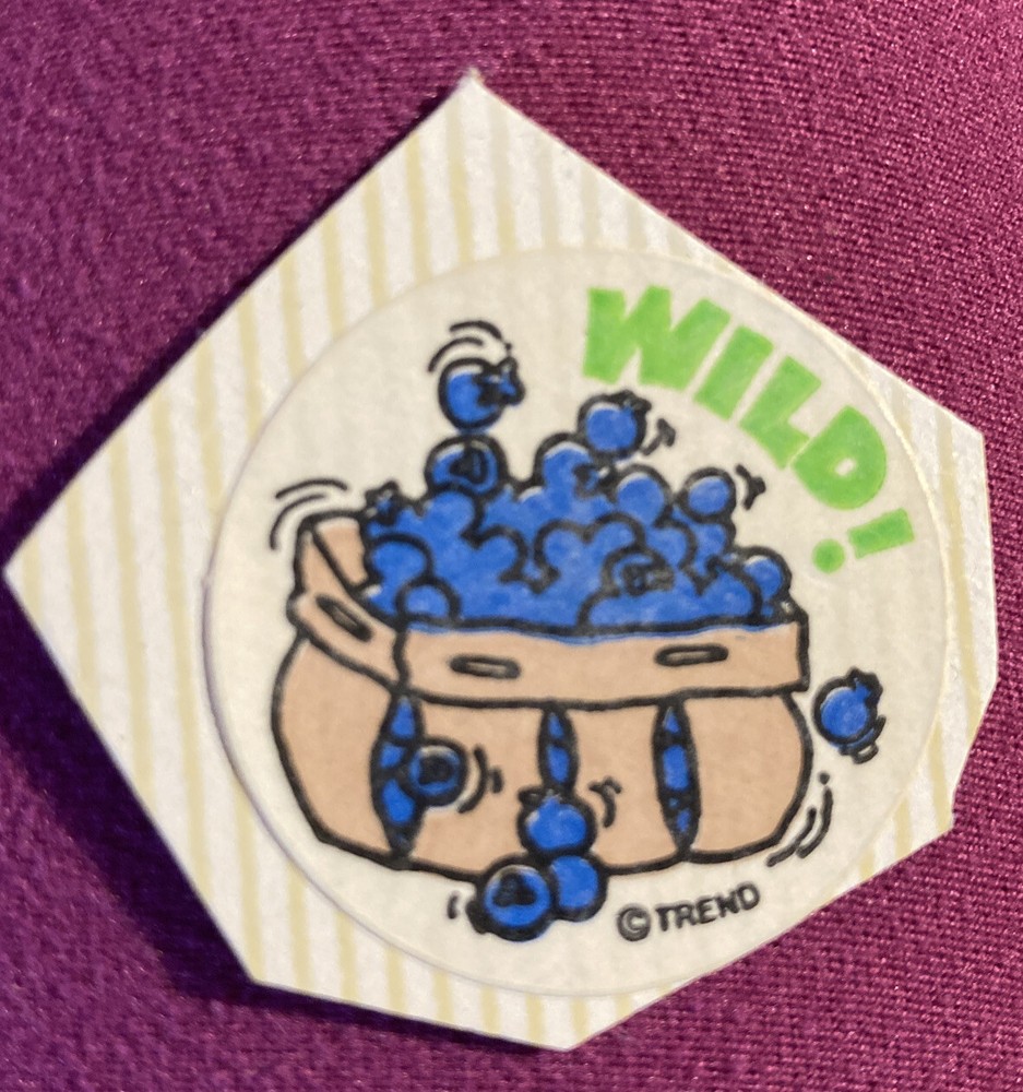 Vintage 1980’s Trend Scratch N Sniff Wild! Blueberries Sticker Matte 1.5” Circle