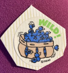 Vintage 1980’s Trend Scratch N Sniff Wild! Blueberries Sticker Matte 1.5” Circle