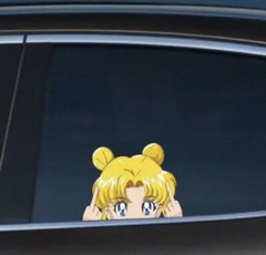 Sailor Moon Sticker Decal