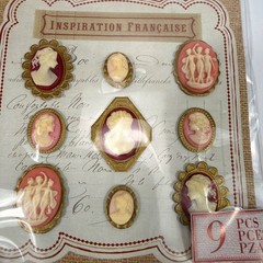 Jolee’s Boutique French General Inspiration Francaise Cameo Stickers 9 Pc NIP
