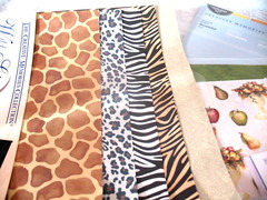 Lot Wild Side Photo Mounting Paper, Rainbow strips, Bountiful Designer 8×8 paper