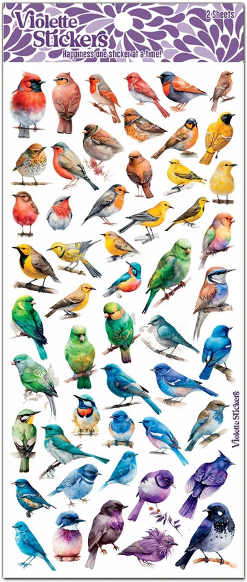 Violette Stickers 2 Sheets Rainbow Birds Multi Types & Colors Red Green Blue ++