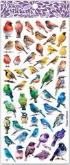 Violette Stickers 2 Sheets Rainbow Birds Multi Types & Colors Red Green Blue ++