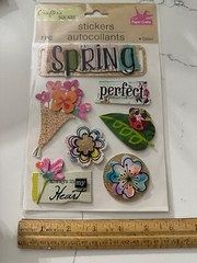 Crafter’s Square Dimensional Spring Paper Crafts Flowers Always In My Heart Leaf