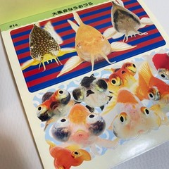 Shogakkan Uozura Fish Heads Stickers book 274 Japanese stickers Shogakkan