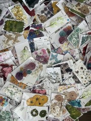 1,070 Pks Recollections Scrapbook Flowers Leaves Butterflies Lot New