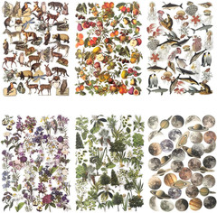 240PCS Waterproof Flowers Leaves Animals Plants Nature Stickers for Art Journali