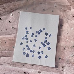 YUNZHI Forget Me Not Flowers Myosostis sylvatica Dried Do