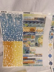 Scrapbooking vacation travel stickers bundle lot beach US Europe Travel
