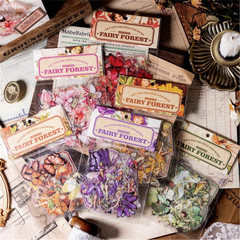 Vintage Flower Fairy Stickers 300Pcs Lot, 6 Packs Butterfly Fantasy Transparent