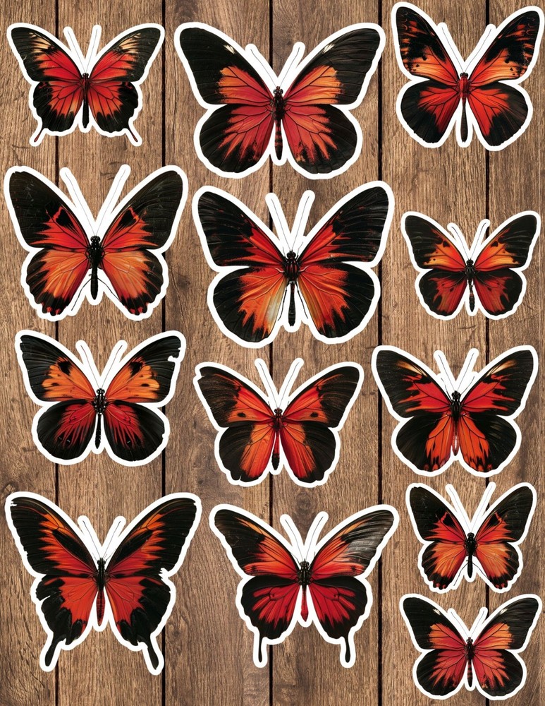 Orange and Black Butterfly Die Cut Stickers Set Scrapbooking Laptop Waterbottle