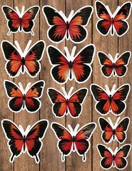 Orange and Black Butterfly Die Cut Stickers Set Scrapbooking Laptop Waterbottle