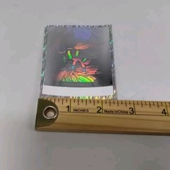 Vtg Scholastic Holographic Sticker Honey Bee Flower Please Return To Book Plate