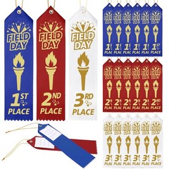 90 PCS Field Day Ribbons 1st 2nd 3rd Place 8×2 Inch Award Card String Set