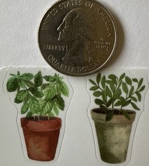 HERBS & VEGETABLE Mylar￼Stickers(11pc)Seed-Packet•Plants •Garden•Card Making•