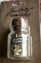 Tim Holtz Idea-ology Wishbones Resin Faux Bones Embellishment TH93071