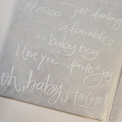NEW 2 Sheets Deja Views Wonderful Words Rub-Ons White Baby Girl Boy Words -G