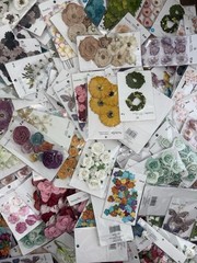 1,070 Pks Recollections Scrapbook Flowers Leaves Butterflies Lot New