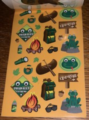 Darcie Summer Camp Camo Camping Hiking Fire Canoeing Sticker Book 286 Pcs 6 Shts