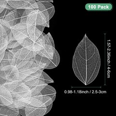 100-Pack Skeleton Leaves, Natural Rubber Tree Leaves Vein[4-6cm, White]