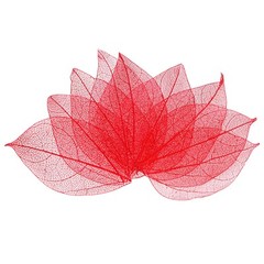 200-Pack Skeleton Leaves, Natural Rubber Leaves Vein[4-6cm, Bright Red]