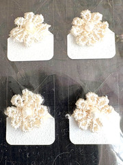 JOLEE’S BOUTIQUE DIMENSIONAL FLOWERS – PEARL DAISIES