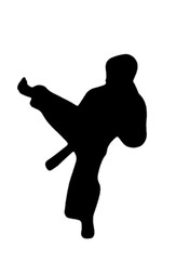 KID, CHILDREN, YOUNG ADULT, MARTIAL ARTS «KARATE KIDS!» SILHOUETTE DIE CUT/ CUTS