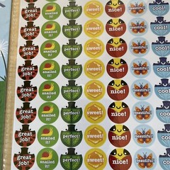 Teachers Kids Awards Stickers Chart Greenbrier International Inc. School Supply