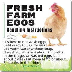 100 Pack Fresh Farm Eggs Handling Instructions Stickers Labels Care Accessor…